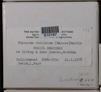 Image Associated With the Occurence